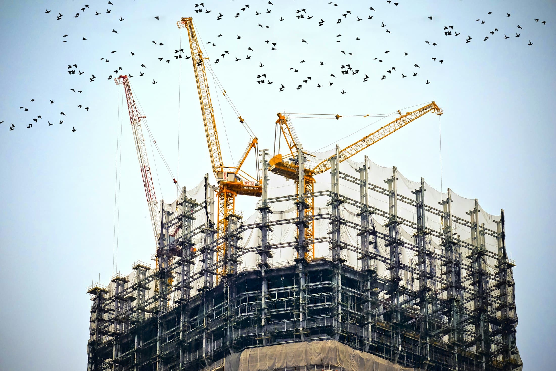 High-rise building under construction with tower cranes